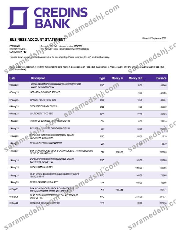 Credins enterprise account statement Word and PDF template